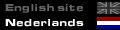 go to the english site